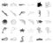 A variety of marine animals monochrome,outline icons in set collection for design. Fish and shellfish vector symbol