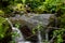 A variety of mountain rivers with lots of trees and crystal clear drinking water