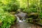 A variety of mountain rivers with lots of trees and crystal clear drinking water