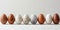 Variety of Natural Textured Eggs Lined Up on Bright Neutral Background