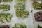 Variety of nice greens lying in plastic bags on the table