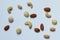 Variety of nuts on white background. Macadamia,cashew,peanuts and almond nuts.