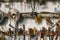 Variety of old vintage and modern household hand tools on a garage shelves in a DIY and renovations concept