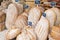 Variety of organic fresh baked bread on artisanal bakery display