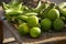 Variety of Peruvian lemons from the Peruvian jungle