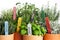 Variety of potted garden herbs, closeup