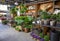 Variety of potted plants and flowers at the greek garden shop in October