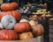 Variety of pumpkins on sale at a market, selective focus