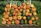 Variety of pumpkins and squashes