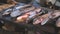 A variety of river fish from the Amur River on the fisherman's table.