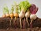 Variety of root vegetables with vibrant leaves in soil cross section