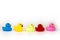 Variety of rubber bath ducks isolated background. Toy play for kid ducky floating.