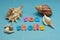 A variety of seashells displayed with the words sea shells