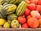 Variety of squashes at the autumn market