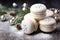 Variety of sweet macaroons. The branches of spruce on bokeh background. Modern european French cuisine. Christmas theme