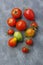 Variety of tomato fruits over painted textile background