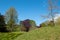 Variety of trees, grass and shrubs in nature with blue sky in the background. Photographed at Ascott House, Leighton Buzzard, UK