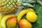 Variety of Tropical Fruits Pineapple Mango Bananas Lemons Green Palm Leaf on White Planked Wood