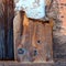 Variety of weathered wood pieces washed by the sea