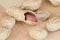 Variety of whole peanuts and one half peeled peanut with cracked shell on a wooden table