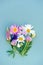 A variety of wild flowers, daisies, lupine, onions and herbs, a