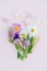 A variety of wild flowers, daisies, lupine, onions and herbs, a