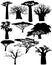 Various African trees - vector