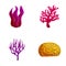 Various algae icons set cartoon vector. Colorful seaweed and coral