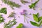 Various aromatic fresh herbs with little daisies on pink background