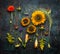 Various autumn plant and flowers on dark vintage background, top view