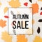 various autumnal leaves, sale concept