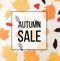 Various autumnal leaves, sale concept