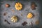 Various Autumnal Objects on Scratchy Grey Background