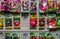 Various bags of common seeds and flowers on a shelf in a gardening store