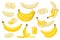 Various banana flat set. Exotic natural fruits collection