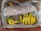 Various Bananas Available for Purchase