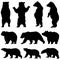 various bear silhouettes on the white background