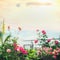 Various Beautiful balcony flowers at sky background, summer lifestyle