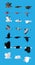 Various Bird Flying Sequence Cute Cartoon Vector Illustration