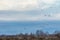 Various birds that fly to the wetland in Kalochori, Greece