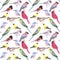 Various birds seamless watercolor background- budgie cardinal goldfinch titmouse kingfisher cedar waxwing juncos on white