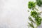 Various bundles of fresh herbs on gray background