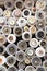 Various buttons stored in plastic tubes and displayed for retail sale in Haberdashers