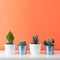 various cactus plants in different pots. Potted cactus house plants on white shelf against coral orange colored wall.