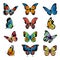 Various cartoon butterflies. Set vector illustrations of butterflies