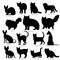Various cat breeds silhouette bundle