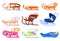 Various children s sledges collection vector flat illustration. Snow wooden plastic metallic sledge