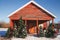 Various Christmas trees by a red shed