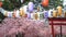 Various colored Japanese lanterns that decorate the cherry blossoms in rows.