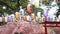 Various colored Japanese lanterns that decorate the cherry blossoms in rows.